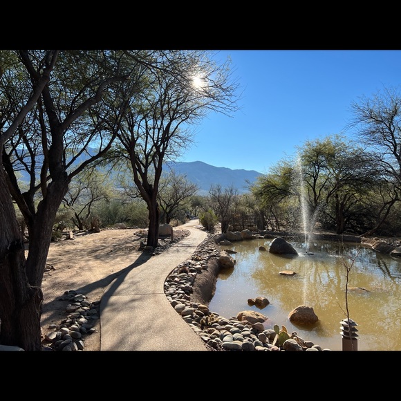 Meet your Posher, Mary - Picture 2 of 2